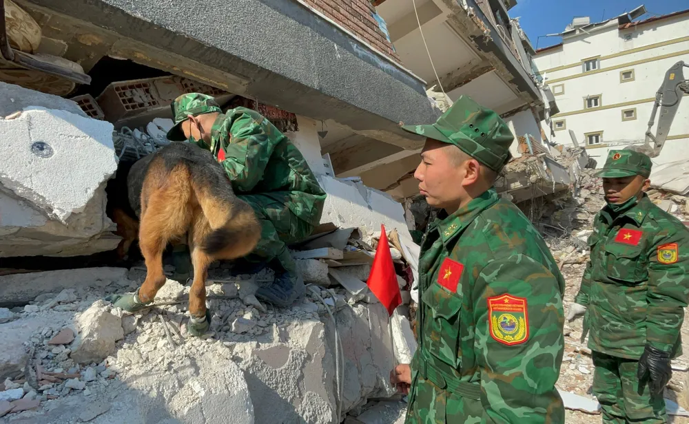 Lực lượng cứu hộ, cứu nạn và chó nghiệp vụ của QĐND Việt Nam tại hiện trường. Ảnh: BQP