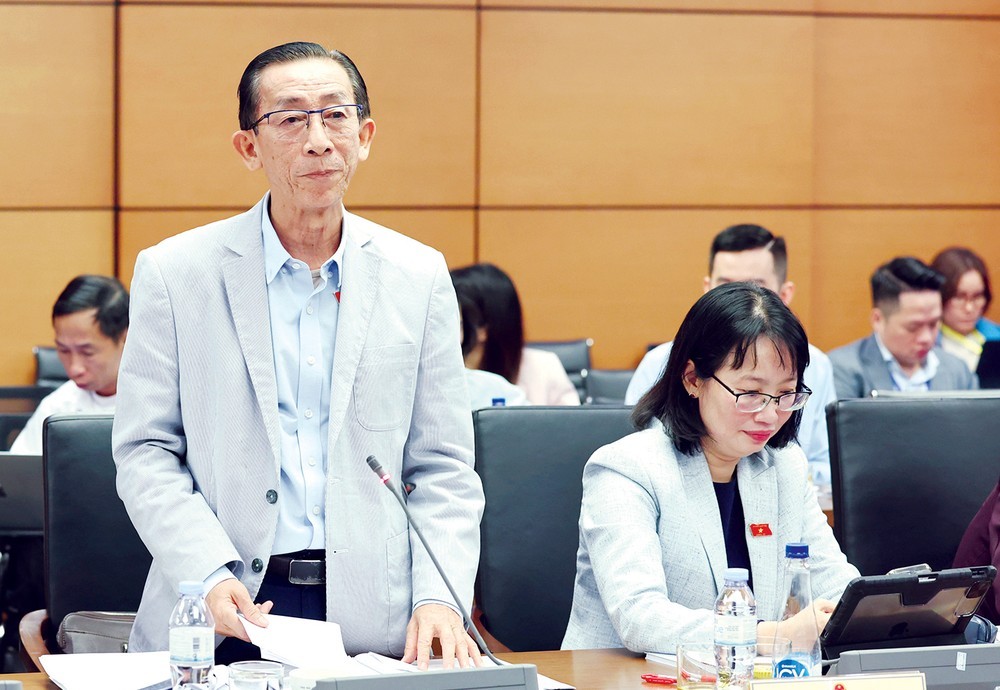 胡志明市国会代表陈黄银发表。