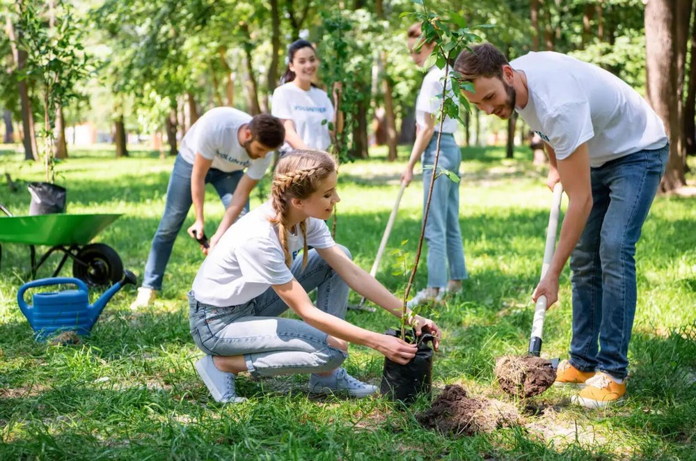 英国人参加植树活动。
