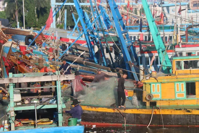 渔民已将船只驶回安全渔港停泊。