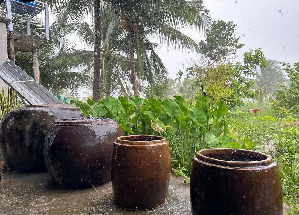 Lu chứa nước mưa thân thuộc ở những miền quê Nam bộ. Ảnh: ĐỖ TÌNH Lu chứa nước mưa thân thuộc ở những miền quê Nam bộ. Ảnh: ĐỖ TÌNH
