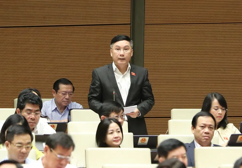 Đại biểu Lê Hoàng Anh. Ảnh: QUANG PHÚC Đại biểu Lê Hoàng Anh. Ảnh: QUANG PHÚC