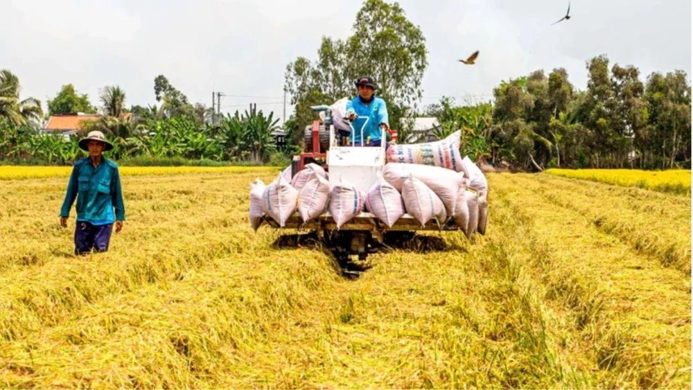 Người nông dân làm nông nghiệp vẫn luôn vất vả khó khăn