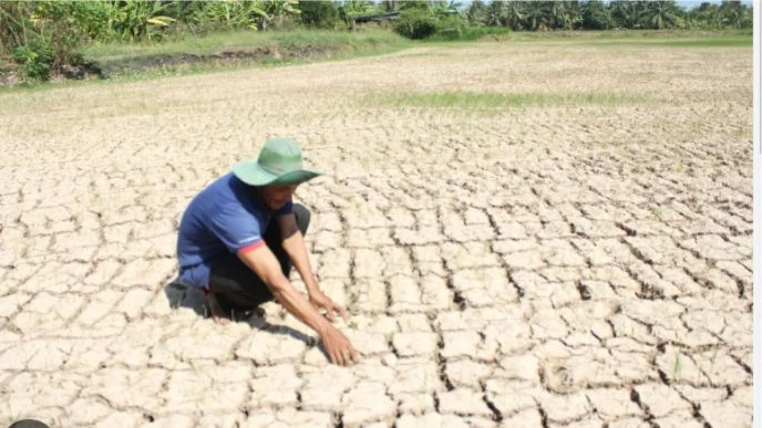 Thủ tướng yêu cầu ứng phó nguy cơ hạn hán, thiếu nước, xâm nhập mặn