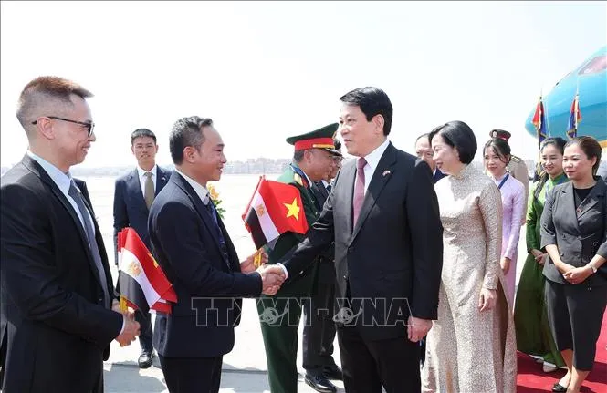 Đại biểu đón Chủ tịch nước Lương Cường và Phu nhân tại sân bay quốc tế Cairo, Ai Cập. Ảnh: Lâm Khánh/TTXVN tham-3824e.jpg