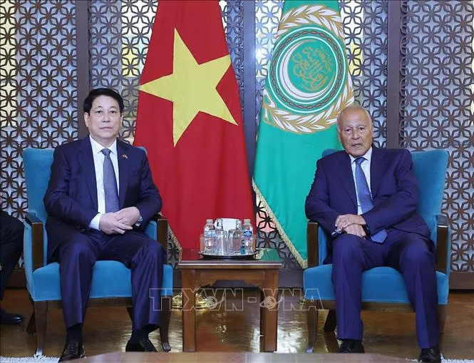 Chủ tịch nước Lương Cường gặp Tổng Thư ký Liên đoàn Arab Ahmed Aboul Gheit. Ảnh: Lâm Khánh/TTXVN CTN-Aicap2.jpg