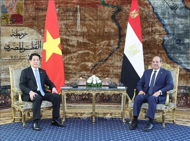 Chủ tịch nước Lương Cường và Tổng thống Ai Cập Abdel Fattah El-Sisi hội đàm hẹp. Ảnh: Lâm Khánh/TTXVN ctn3-050825.jpg