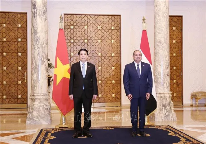 Chủ tịch nước Lương Cường và Tổng thống Ai Cập Abdel Fattah El-Sisi. Ảnh: Lâm Khánh/TTXVN ctn4-050825.jpg