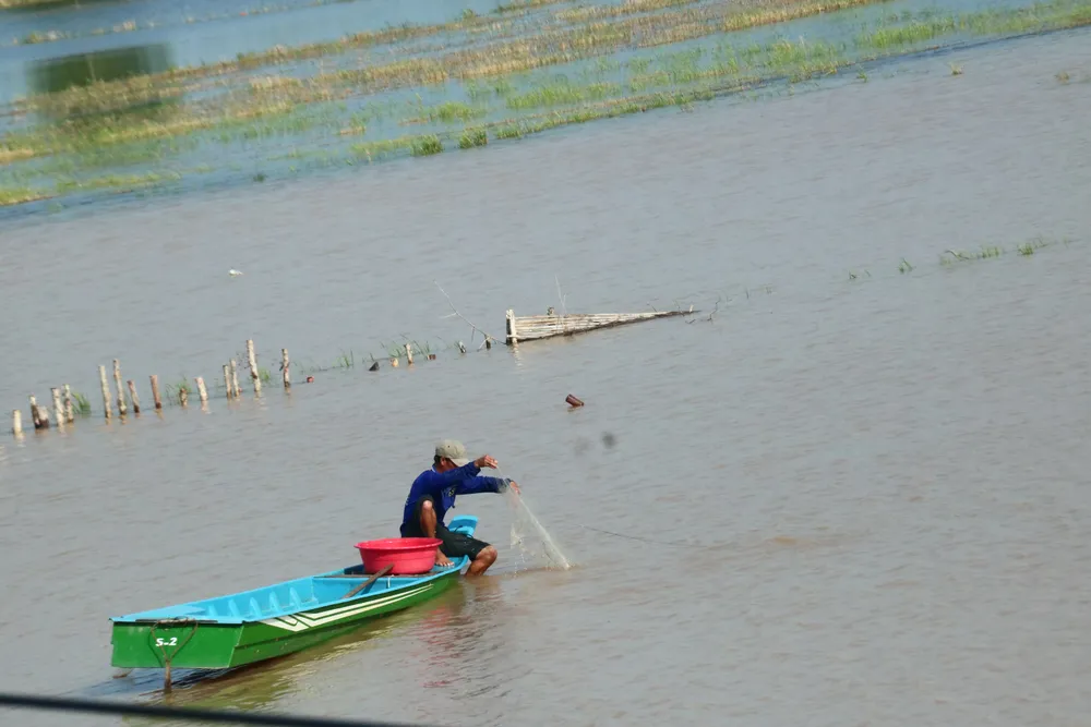Les habitants de la région frontalière du sud-ouest (Dong Thap) jettent des filets pour attraper des poissons dans le champ de Muong Dop. P5A.jpg