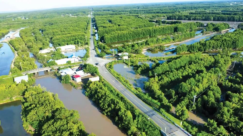 Đường cao tốc về Đất Mũi sẽ đi qua những cánh rừng đước đặc trưng vùng đất cực Nam Tổ quốc. Ảnh: TẤN THÁI Screenshot 2025-09-02 084104.png
