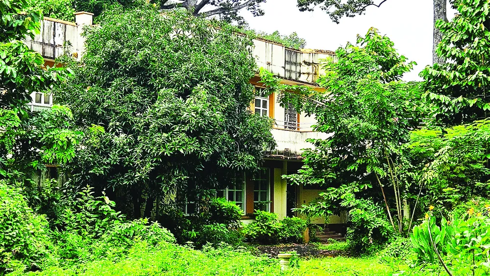 Khu đất số 1 đường Lý Thái Tổ, phường Vườn Lài, TPHCM do Bộ Ngoại giao quản lý đã nhiều năm không sử dụng F2a.jpg