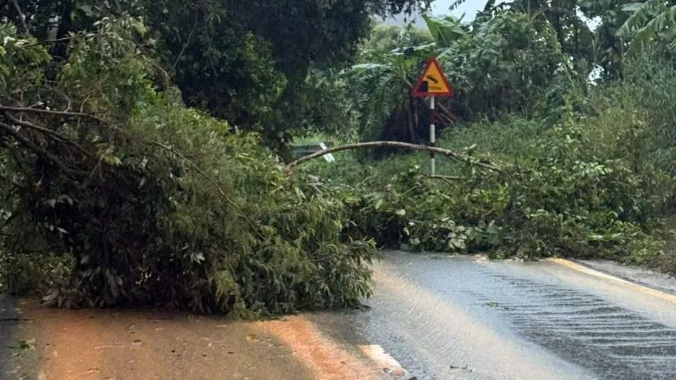 Ít nhất có 12 điểm sạt lở trên đèo Ngoạn Mục