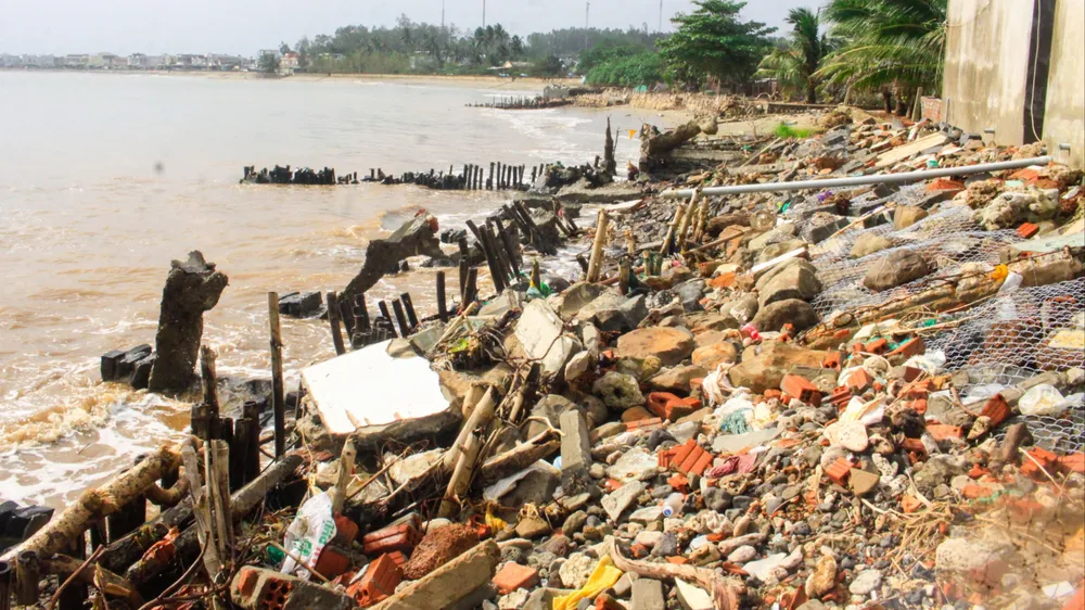 Quảng Ngãi: Bờ biển An Hải sạt lở nghiêm trọng do triều cường xâm thực