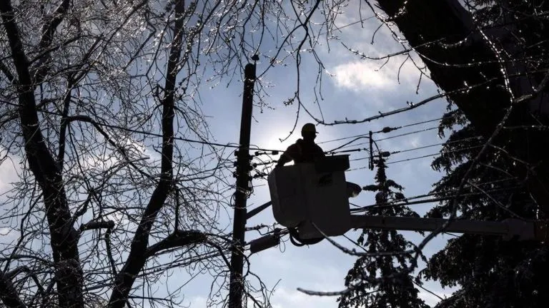 BC Hydro cho biết nhiều năm hạn hán đã khiến cây cối trở nên yếu và không ổn định, dẫn đến gió mạnh làm chúng đổ xuống các thiết bị điện. Ảnh: Canadian Press