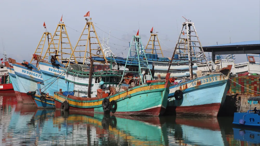 FIP Vũng Tàu là dự án cải thiện nghề lưới kéo Vũng Tàu