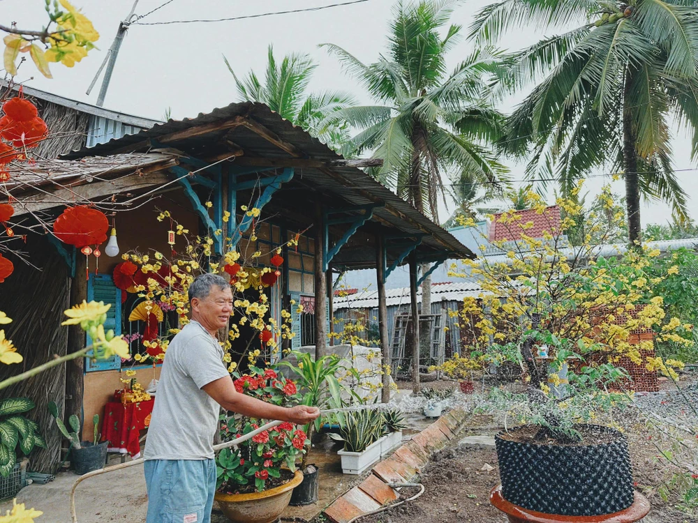 Sắc hoa vàng báo hiệu mùa xuân phương Nam thật gần. Ảnh: ĐỖ TÌNH