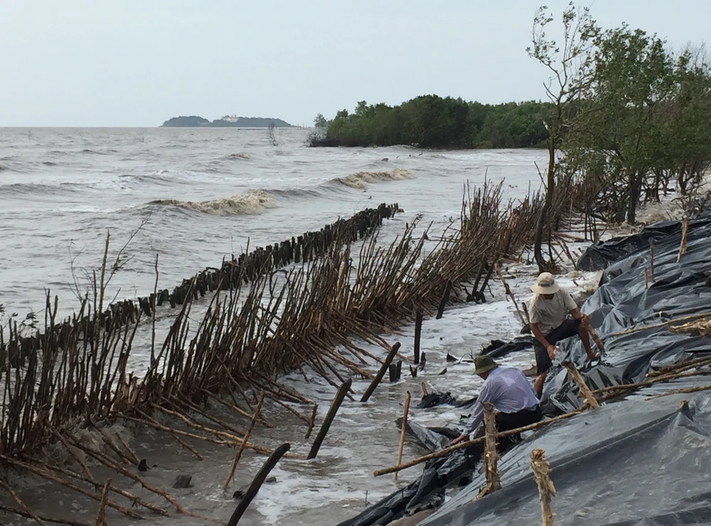Cà Mau khẩn cấp đầu tư xây kè chắn sóng bờ biển Đông ảnh 1 Cà Mau khẩn cấp đầu tư xây kè chắn sóng bờ biển Đông ảnh 1