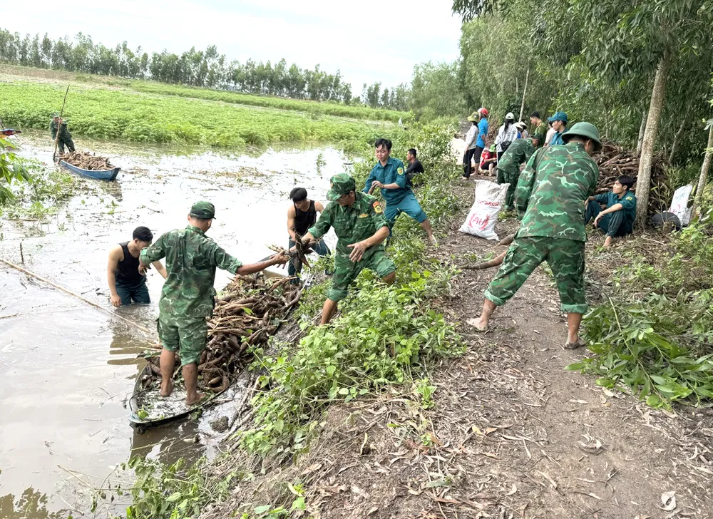 Chiến sĩ Đồn Biên phòng Vĩnh Điều cùng các lực lượng đưa khoai mì của người dân lên bờ 1d8ddf7f94d2198c40c310.jpg