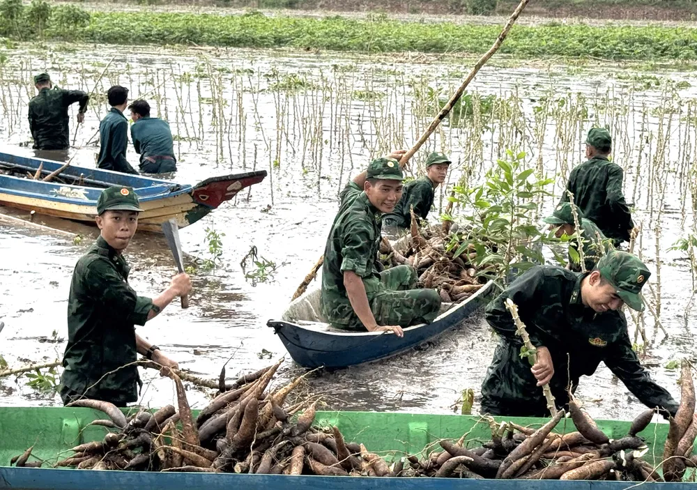 Trong suốt 3 ngày qua, hơn 100 lượt cán bộ, chiến sĩ Đồn Biên phòng Vĩnh Điều phối hợp cùng các lực lượng giúp nhiều hộ dân thu hoạch vườn khoai mì, rau củ quả f14a1ebd5510d84e810116.jpg