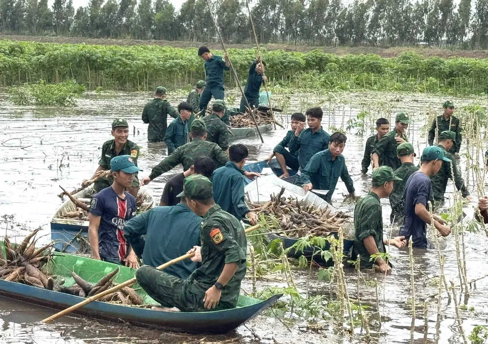 Các lực lượng dầm mình trong nước lũ thu hoạch hoa màu cho bà con xã Vĩnh Điều giup dan.jpg