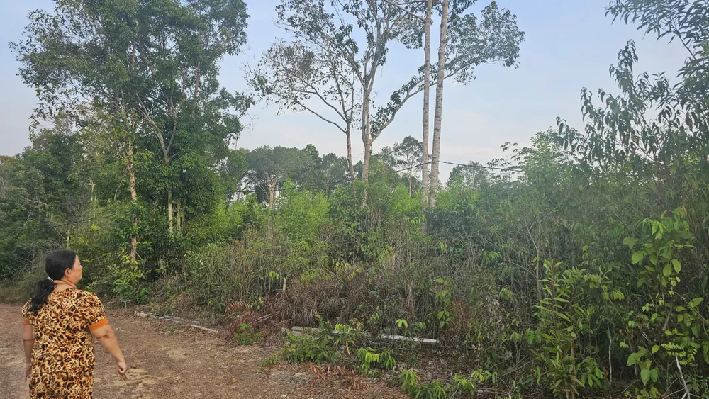 Phú Quốc có 4.024ha đất của hộ gia đình, cá nhân, cộng đồng dân cư đang sử dụng đất mà chưa được cấp Giấy chứng nhận quyền sử dụng đất