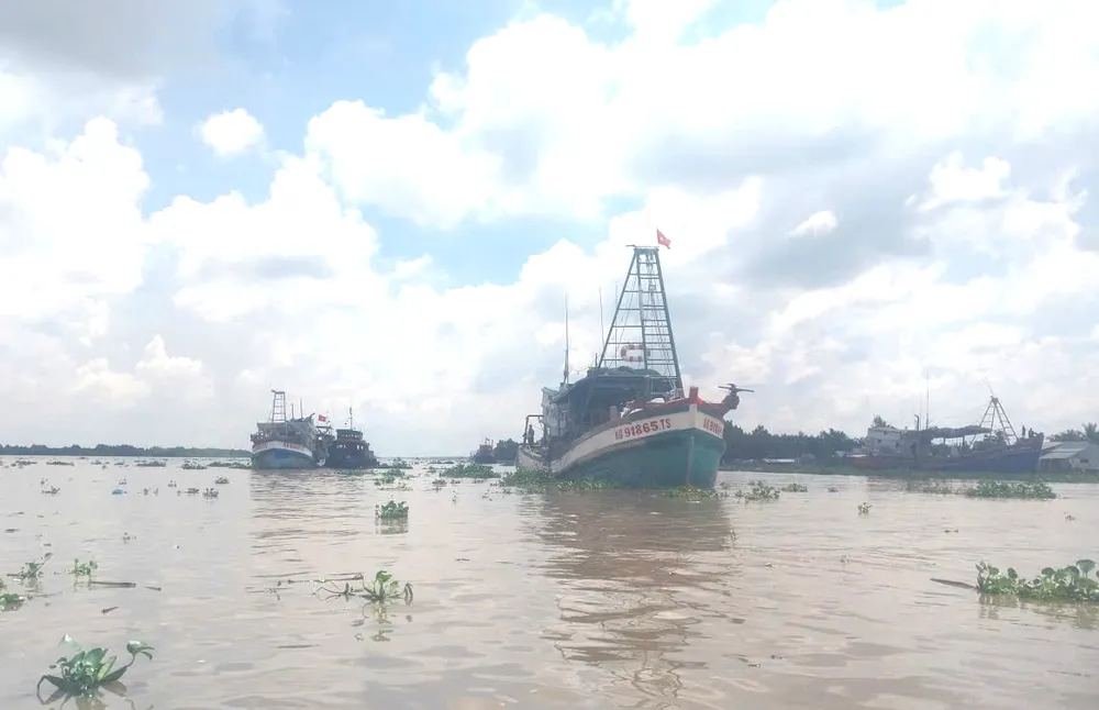 UBND tỉnh An Giang kêu gọi chủ tàu, thuyền trưởng và các cá nhân liên quan nghiêm túc chấp hành các quy định pháp luật về chống khai thác IUU. Ảnh minh họa