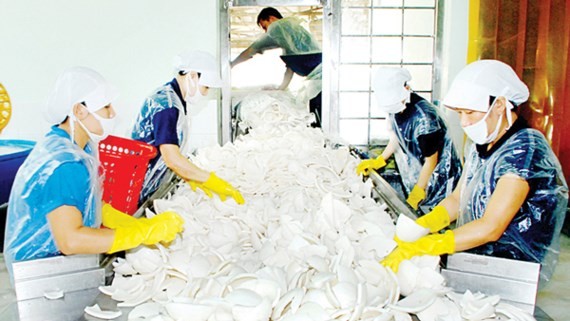 Workers of a coconut procesing company make products from the fruit (Photo: SGGP)