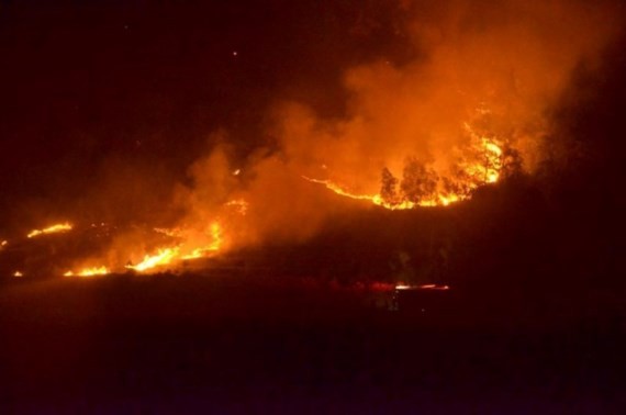 The fire engulfts Hanoi's protective forest (Photo: SGGP)