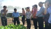 The mission team visits a farm in Cu Chi (Photo: SGGP)