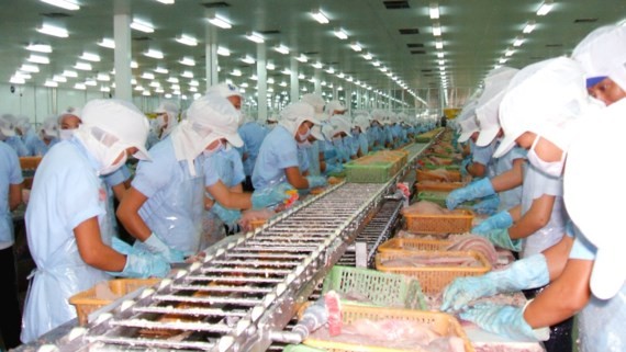 Workers are working in a company in the industrial park in Hau Giang Province (Photo: SGGP)