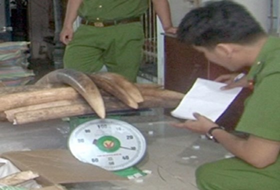 Police officers praised for seizing 1.4 tons of tusks