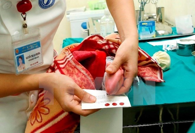 Heel pricks help screen health of newborns. (Source: VNA)
