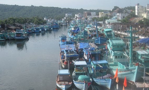 Mekong Delta takes urgent steps to cope with storm