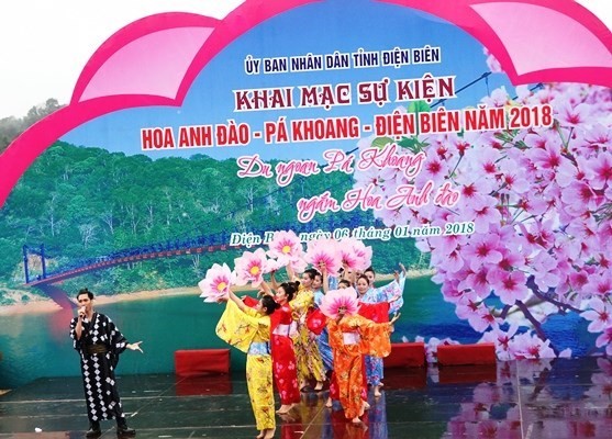 Dien Bien hosts first cherry blossom festival