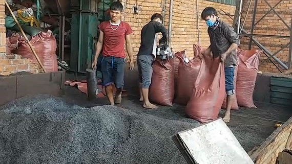 Black power inside batteries is used to dye coffee at the family-run coffee production facility in Dak Nong Province (Photo: SGGP)