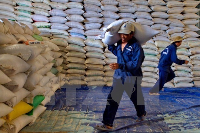 Thanh Hoa to receive over 50,000 tonnes of rice to support forest protectors