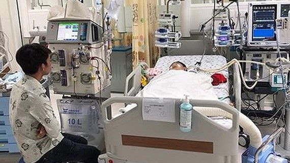Two dies, three in critical condition after being stung by bees