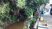 A section of Hy Vong canal (Photo: SGGP)