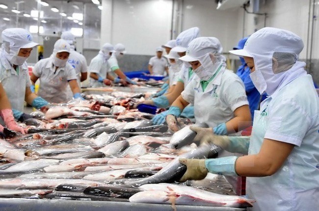 Meeting labour criteria key to fishery growth: seminar