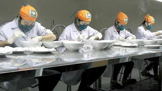 Preliminary processing of swift nests at a bird nest production company in HCMC’s Can Gio District (Photo: SGGP)