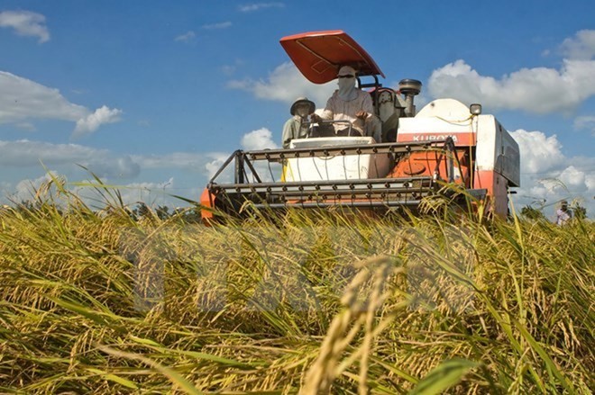 Vietnam has been an important partner and worked closely with the WEF in various spheres, including the New Vision for Agriculture, according to Deputy Minister of Agriculture Le Quoc Doanh (Photo: VNA)