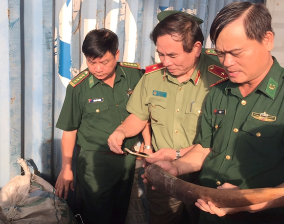 Ten tons of tusks, pangolin scales seized in Tien Sa port