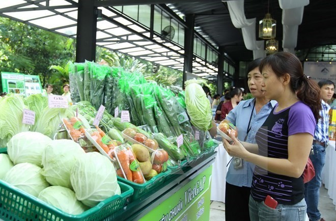 Netherlands shares experience in food safety management