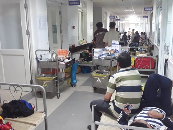 Da Nang education sector popularizes information of dengue