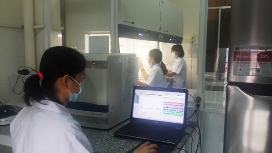 Eight labs urgently urged to find ASF fatal virus