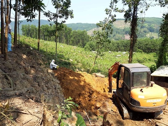 Quang Nam culls 5,000 chickens due to outbreaks of avian flu