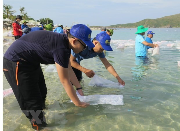 Nha Trang releases fries to regenerate aquatic resources