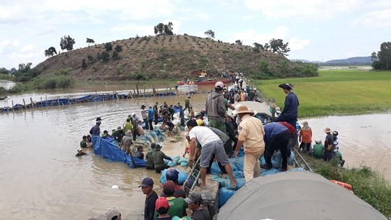 Dyke breaches, farmers rush to save rice paddies