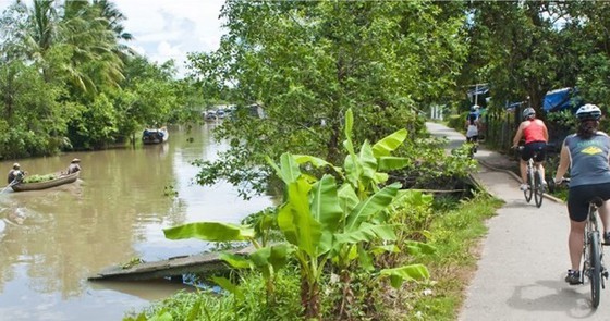 Foreign tourists go for bike ride in a province in Mekong delta (Photo: SGGP)