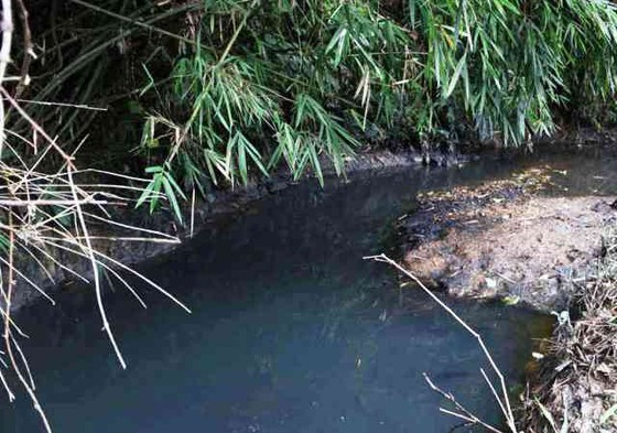 People dump the waste matter into a local stream, the oil quickly spread to a nearby canal, which led water from the Da (Black) River into a water treatment plant of the Song Da Water Investment, which supplies water to several districts in the western pa